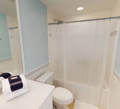Guest Bathroom 1