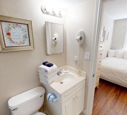 Guest Bathroom 1