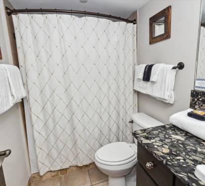 Guest Bathroom