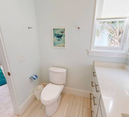 Guest Bathroom 1 (1st Floor)
