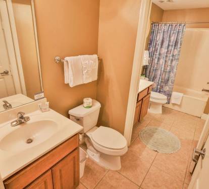 Master Bathroom 1 Part 1