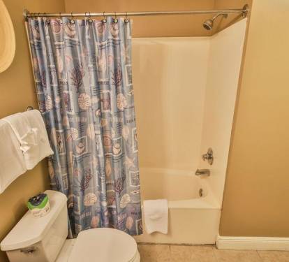 Master Bathroom 1 Part 2