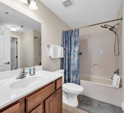 Master Bathroom 1 Part 2