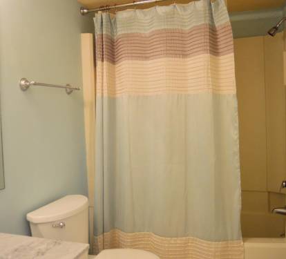 Master Bathroom 1 Part 3
