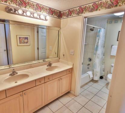 Master Bathroom 1 Part 1