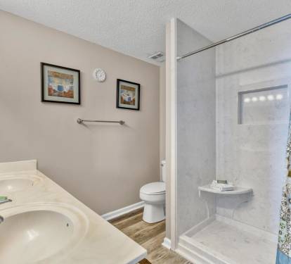 Master Bathroom 1 Part 2