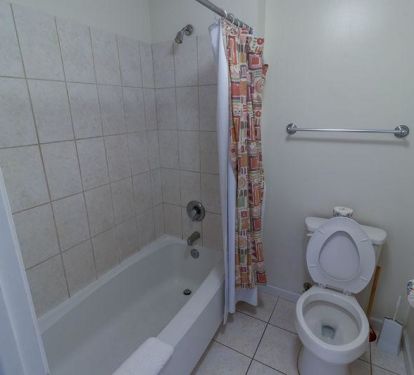 Master Bathroom 1 Part 2