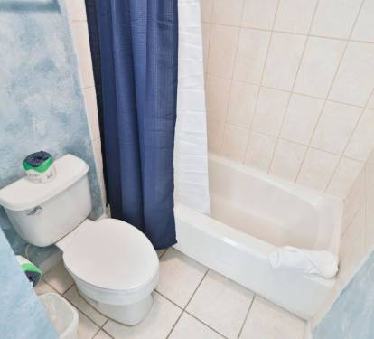 Master Bathroom 1 Part 2