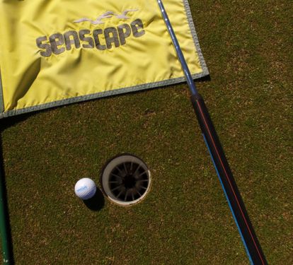 Golf Stock 2