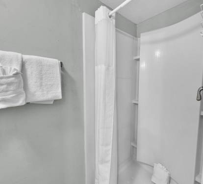 Master Bathroom 1 Part 2