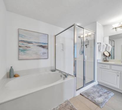 Master Bathroom 1 Part 2
