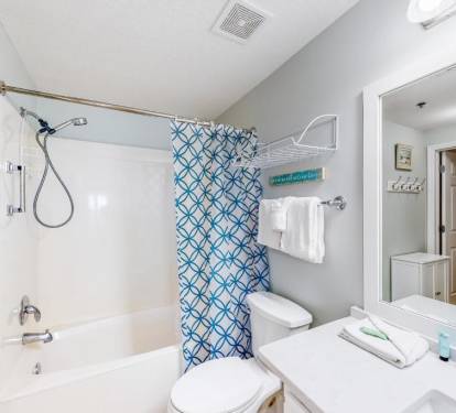 Master Bathroom 1 Part 2
