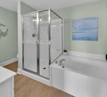Master Bathroom 1 Part 2