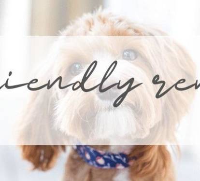 Pet Friendly Stock 1