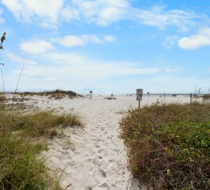 Photo #62