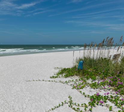 Photo #50