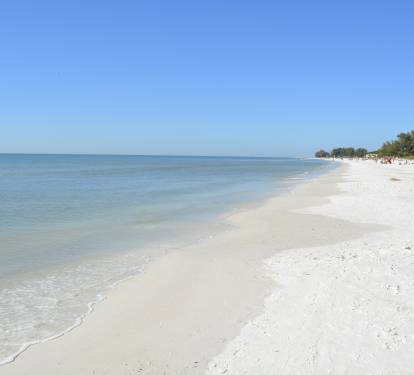 Photo #6