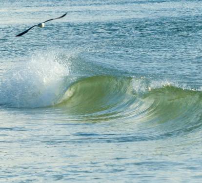 Photo #9
