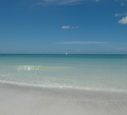 Photo #9