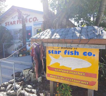 Photo #141