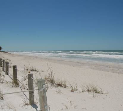 Photo #55
