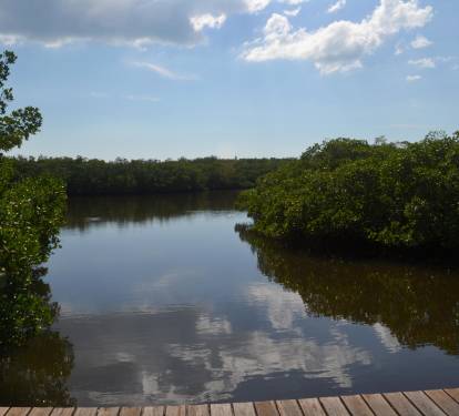 Photo #67