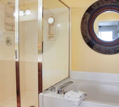 Master Bathroom 1 Part 2