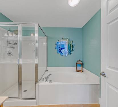 Master Bathroom 1 Part 2
