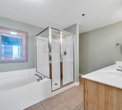 Master Bathroom 1 Part 2