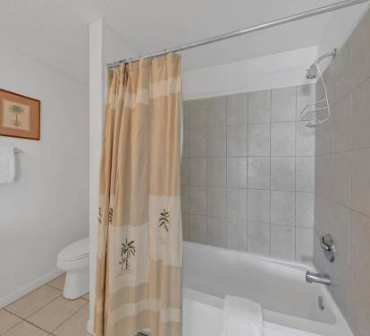 Master Bathroom 1 Part 2