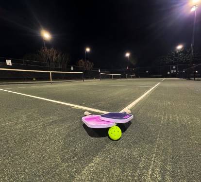 Pickleball Stock 2