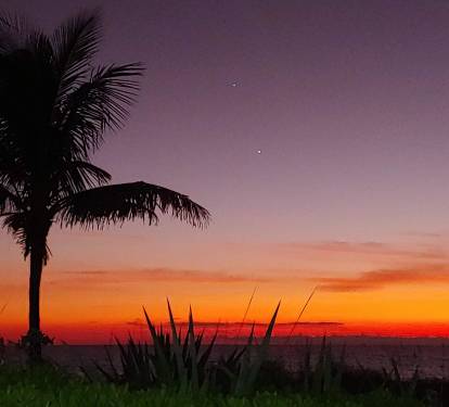 Photo #59