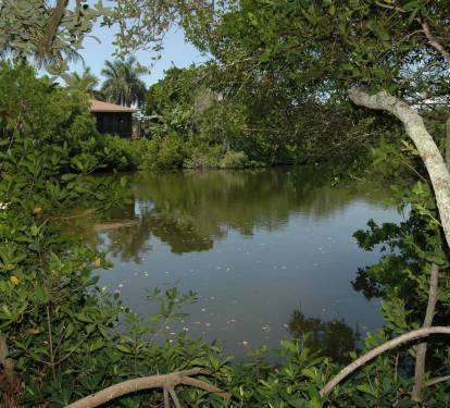 Photo #15