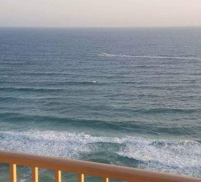 Photo #27
