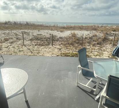 View from the patio/back door 