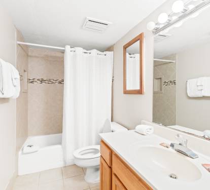 Guest bathroom