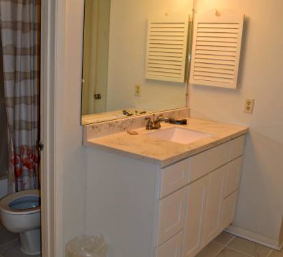 Shower and toilet are separate from the wash basin area.