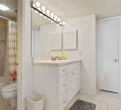 Master Bathroom New Tub