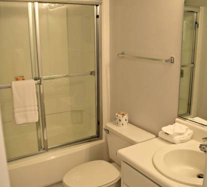 This guest bathroom has both a tub and shower.