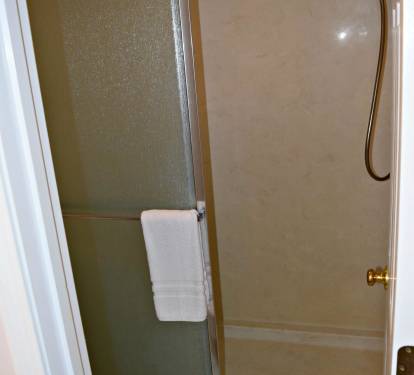 Master bedroom shower.