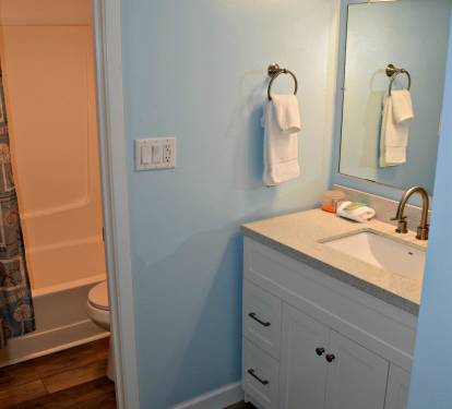 Master bathroom with a separate shower room.