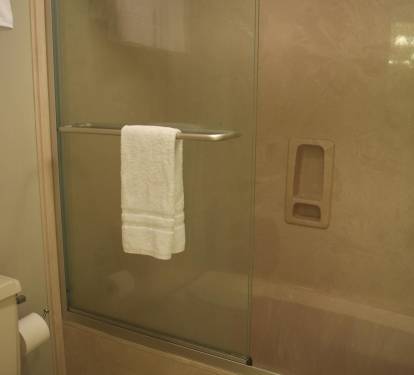 Master shower