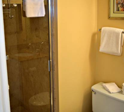 Guest bath with a new remodeled shower and vanity.