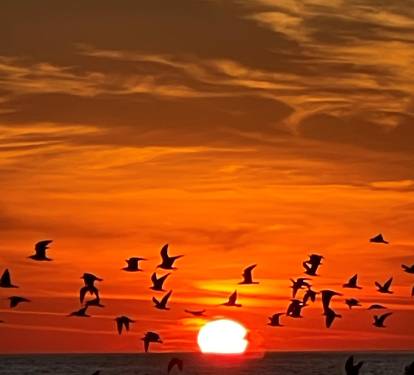 beautiful sunsets