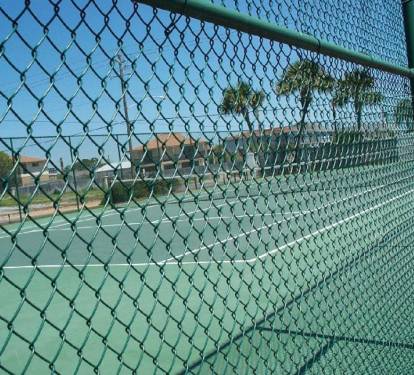 Photo #100