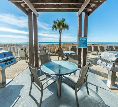 Photo #15