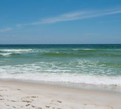 Photo #15