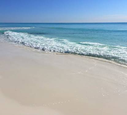 Photo #12