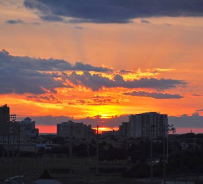 Photo #21
