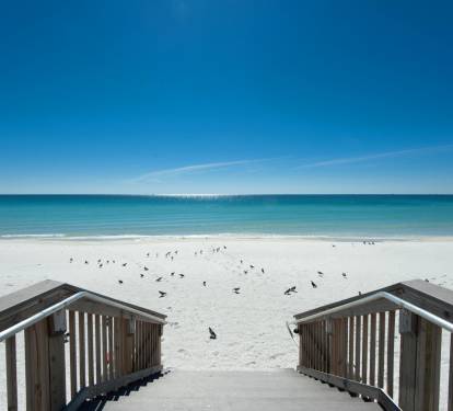 Photo #13